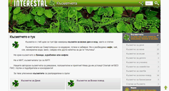 Desktop Screenshot of kasmet.interestal.com